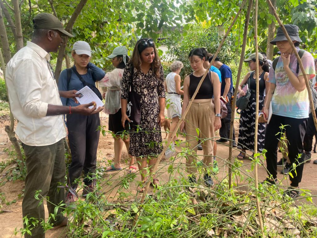 Martuvam Healing Forest