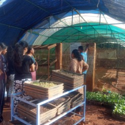 Pearl Academy Pearl Academy