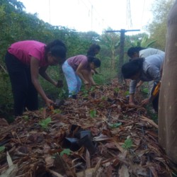 Pearl Academy Pearl Academy