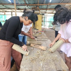 Woxven University Woxven University