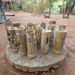 Woxven University Woxven University