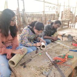 Woxven University Woxven University