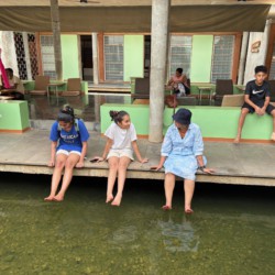 A Family’s Day in Auroville A Family’s Day in Auroville