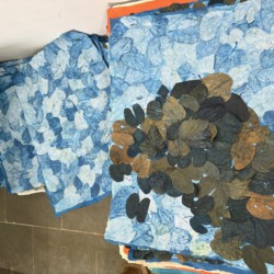 A Family’s Day in Auroville A Family’s Day in Auroville